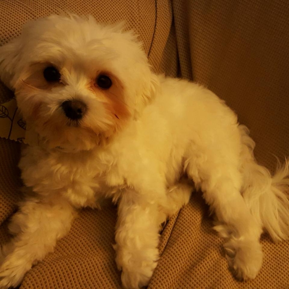 Meet your Posher, Cindy