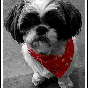 Meet your Posher, Amber