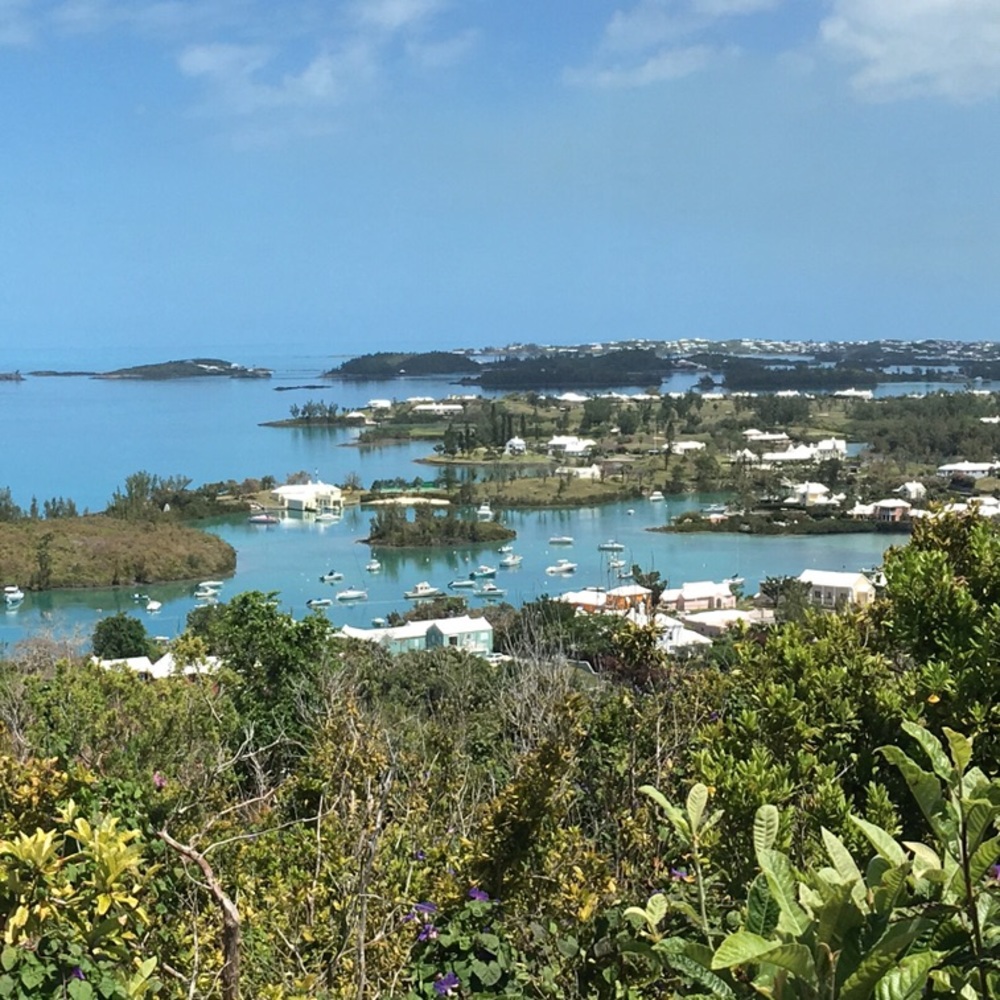 Meet your Posher, Matthew