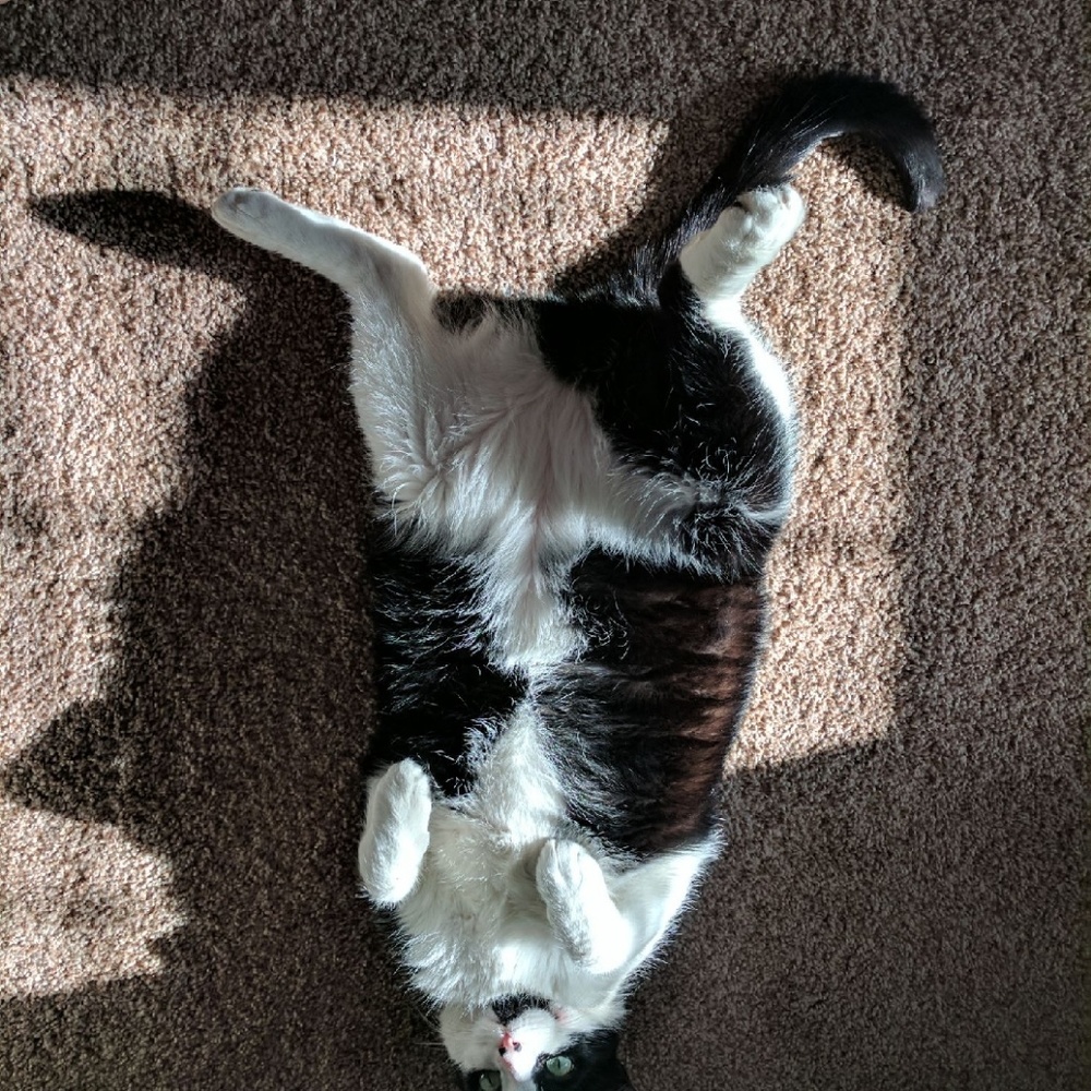 Meet your Posher, Mari