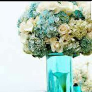 Meet your Posher, Norma