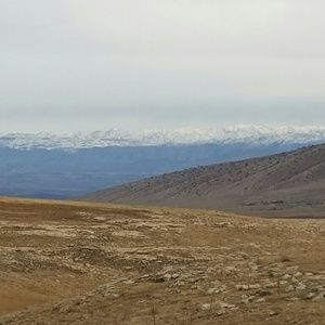 Meet your Posher, Deondrae