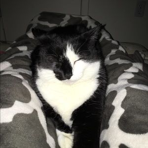 Meet your Posher, Carrie