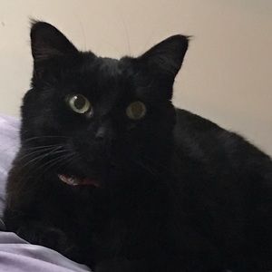 Meet your Posher, Sue