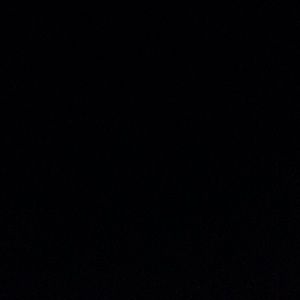 Meet your Posher, Lia