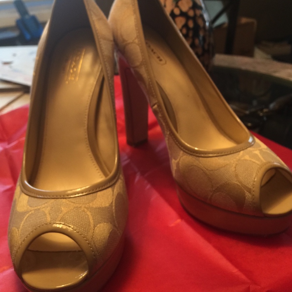 Today only coach shoes