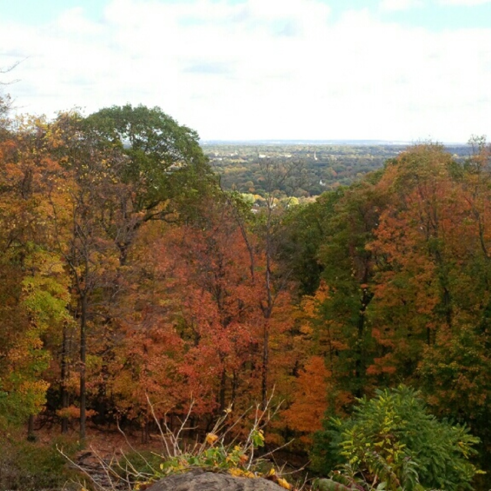 Meet your Posher, Rosie