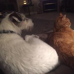 Meet your Posher, Pat