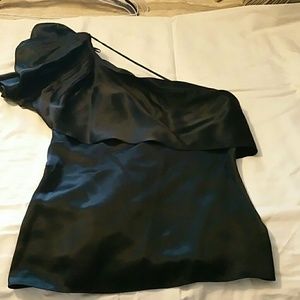 Bcbgmaxazria silk top