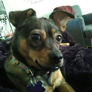 Meet your Posher, Brenna