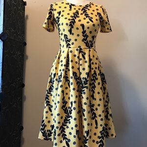 Lularoe SHINE project Amelia dress