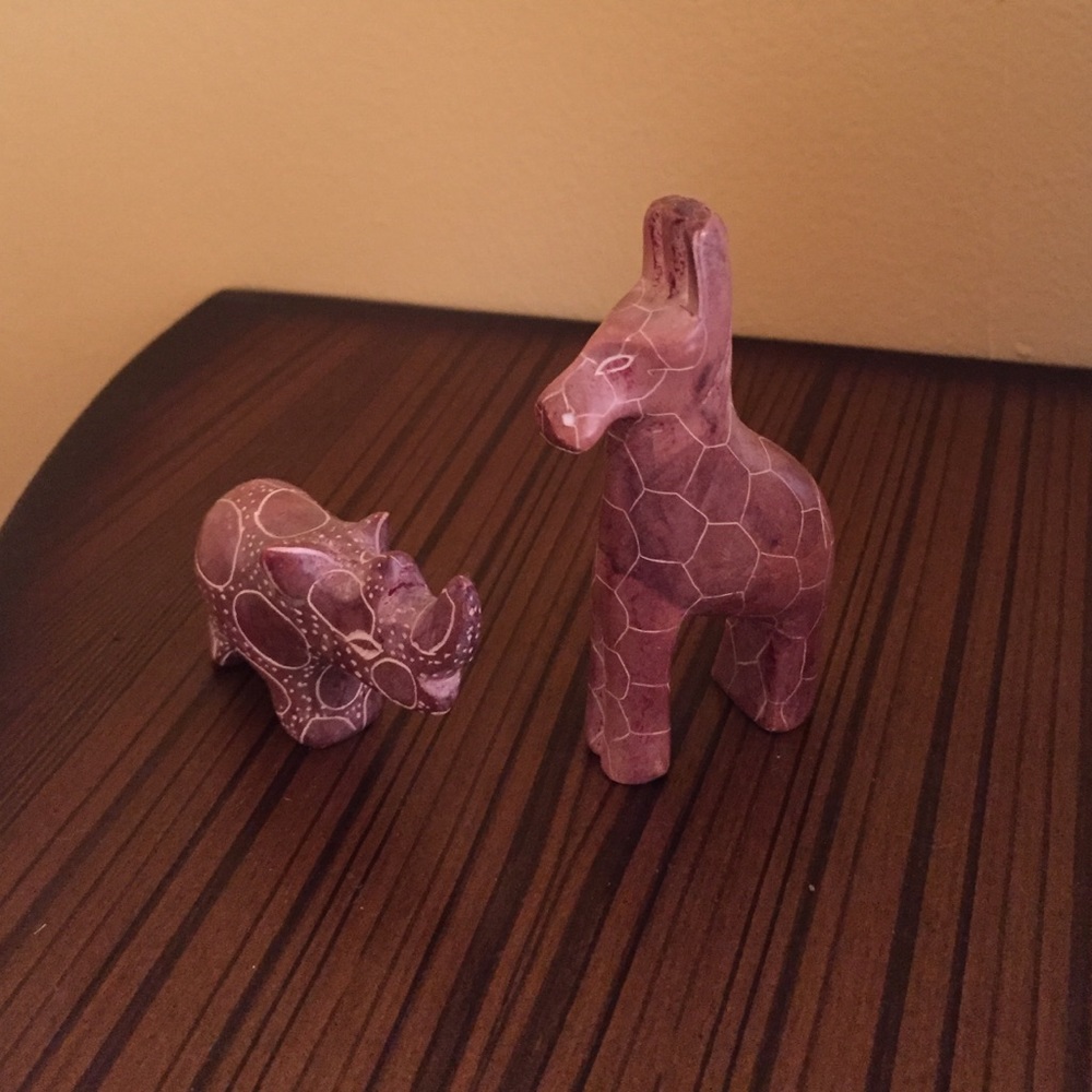 African baby giraffe and baby rhino