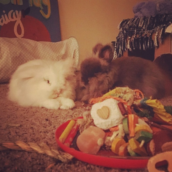 Meet your Posher, Lindsey - Picture 3 of 4