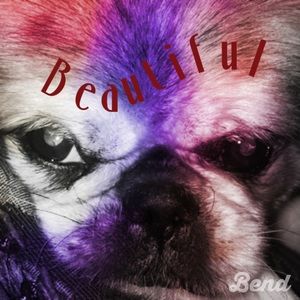 Meet your Posher, Annette