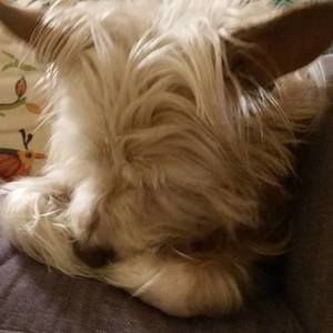 Meet your Posher, Jo