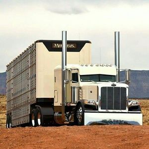 Meet your Posher, Nathan