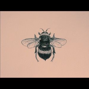 Meet your Posher, Jalitza