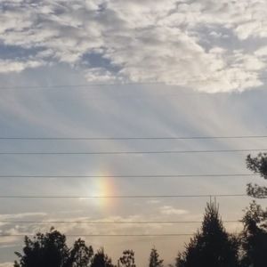 Meet your Posher, Leigh a