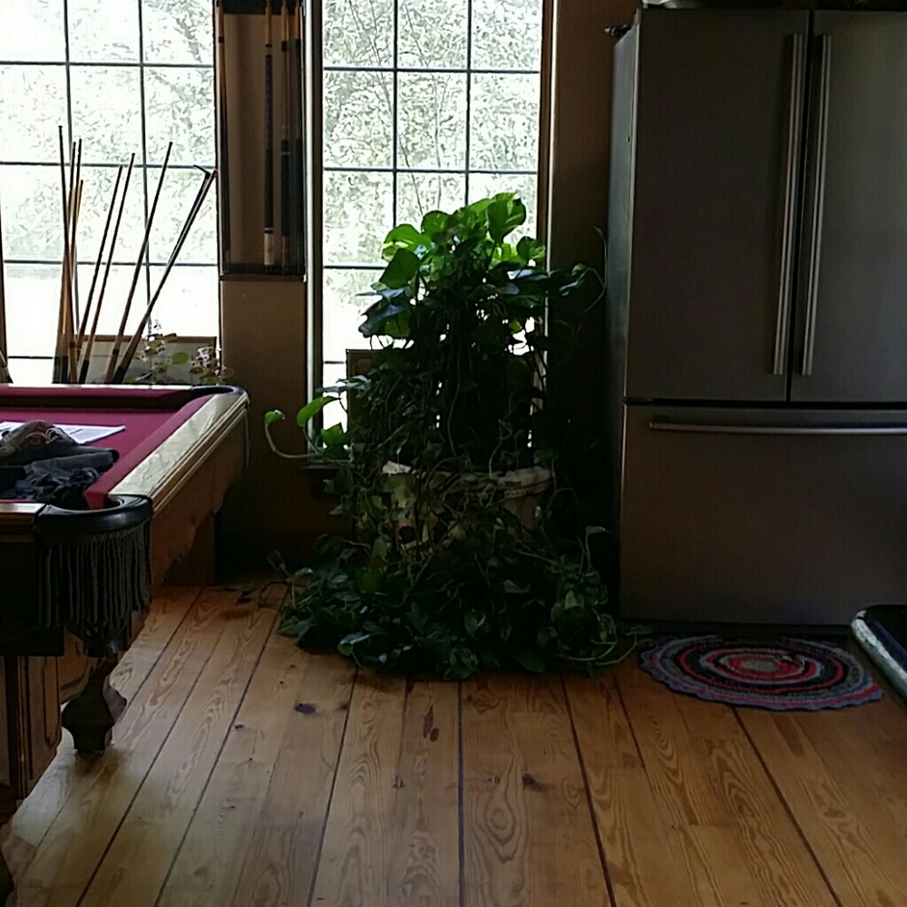 Meet your Posher, Becky