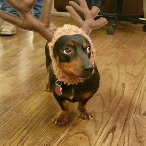 Meet your Posher, Liz