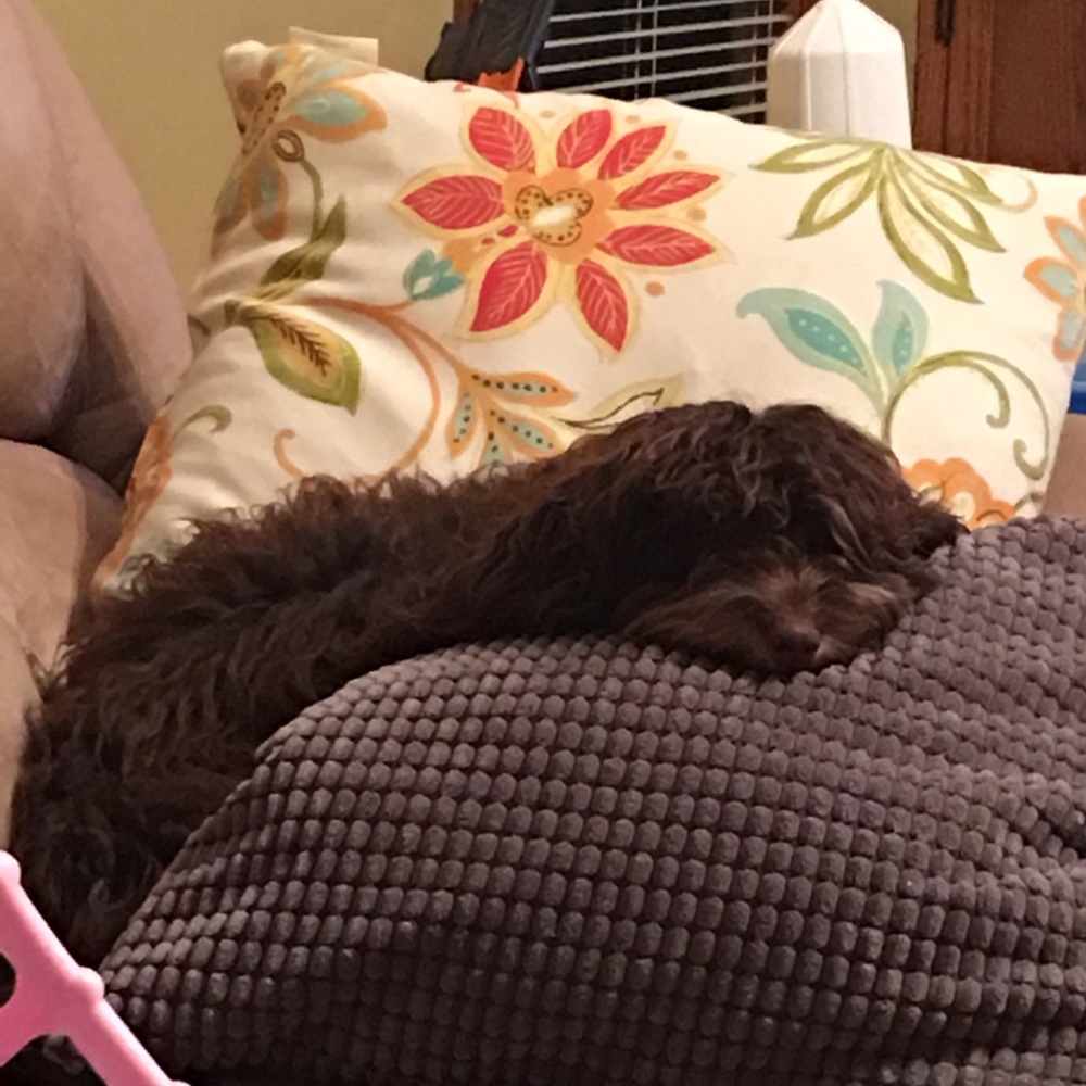 Meet your Posher, Maryssa