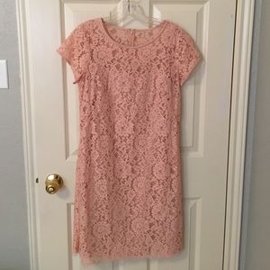 LOFT light pink Lace Dress, size 4 Tall