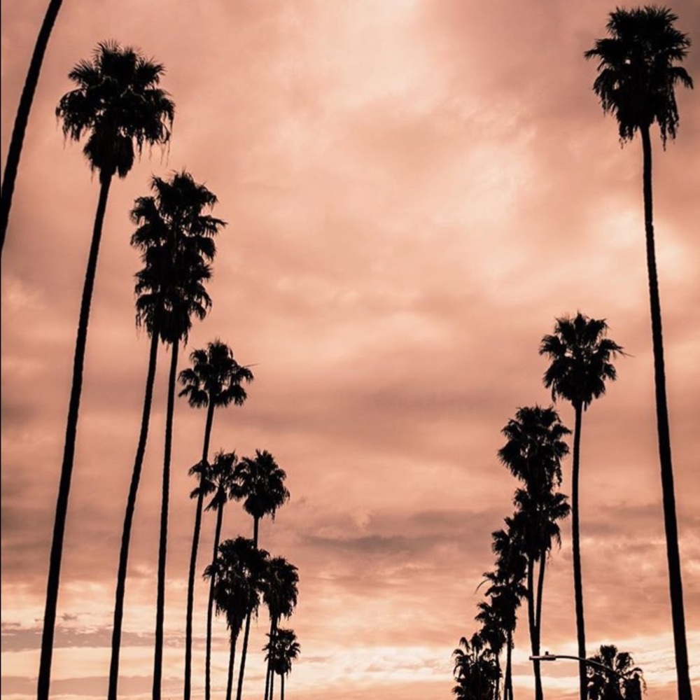 Meet your Posher, Austin