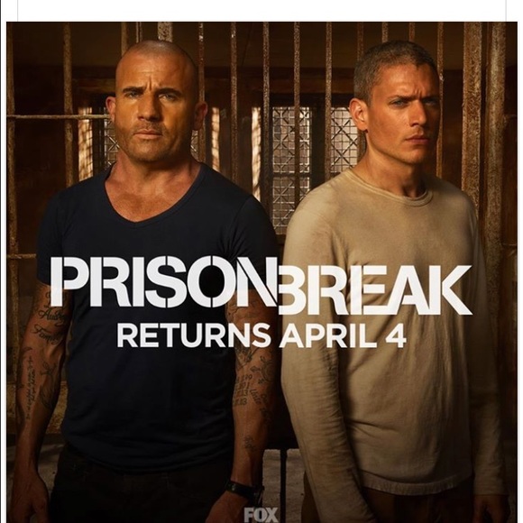 Meet your Posher, Amir - Picture 1 of 1