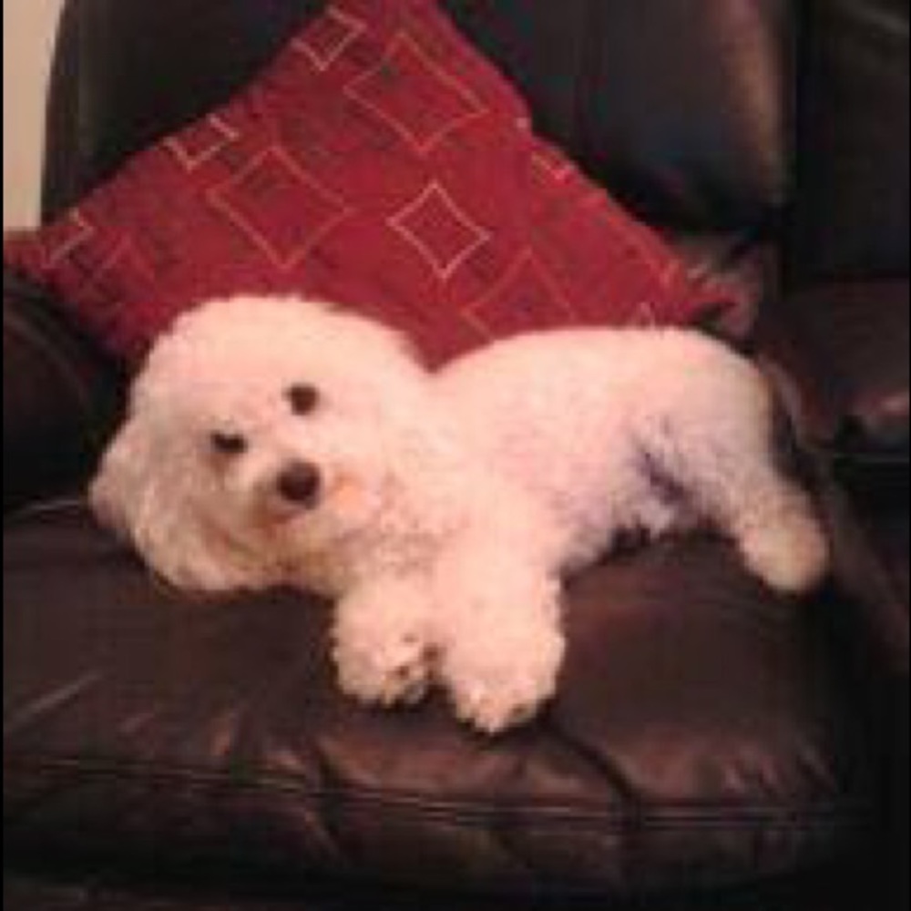 Meet your Posher, Adri