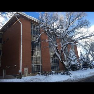 Meet your Posher, Anne