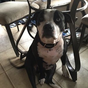 Meet your Posher, Rhonda