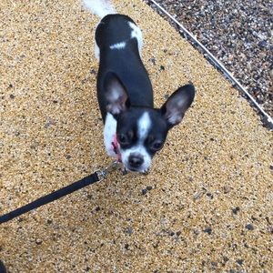 Meet your Posher, Ezra