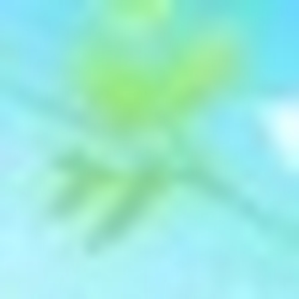 Meet your Posher, José