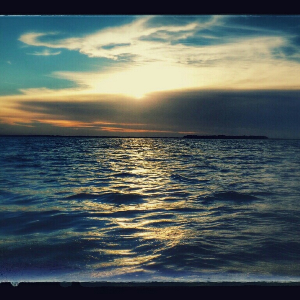 Meet your Posher, Jaime