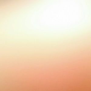 Meet your Posher, Danni