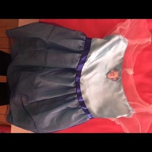 Disney Elsa dress