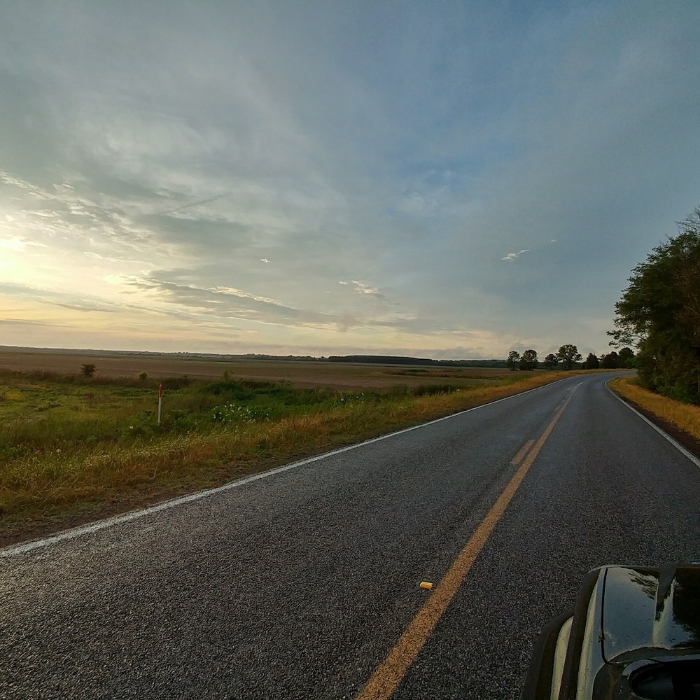 🌻Meet your Posher, Jodie🌻 - Picture 6 of 8