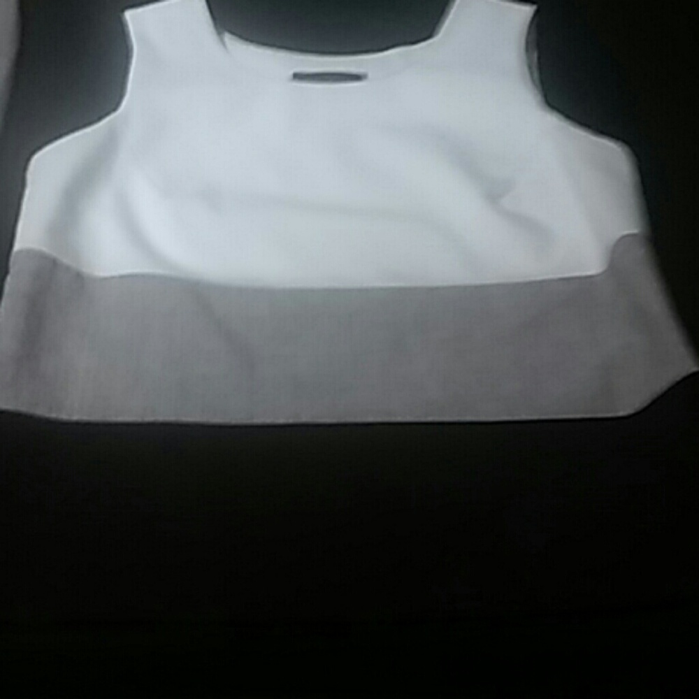 Medium grey black and white shell