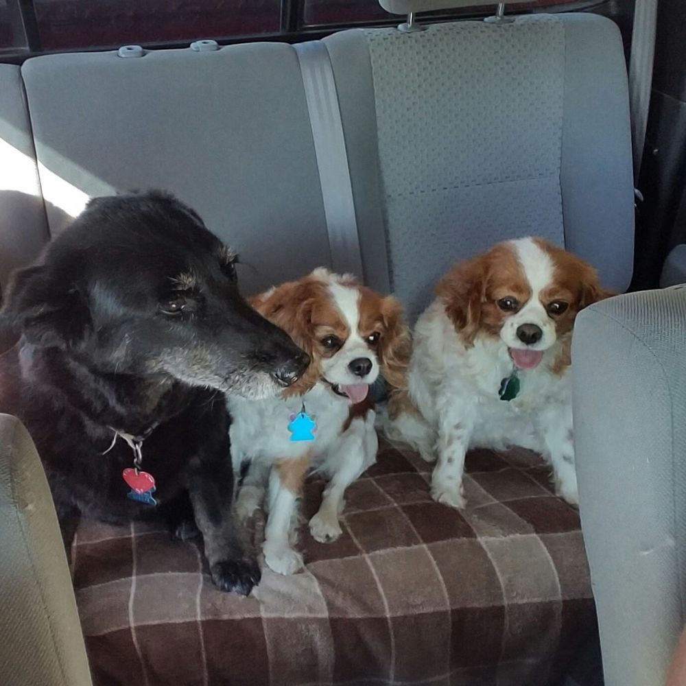 Meet your Posher, Kathy