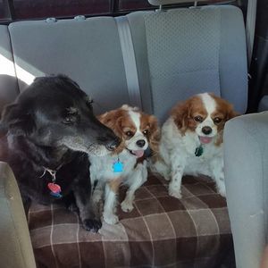 Meet your Posher, Kathy