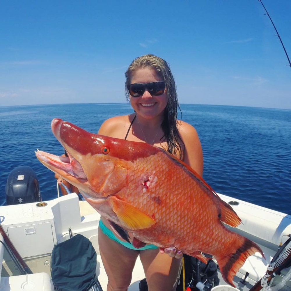 Meet your Posher, Carleigh