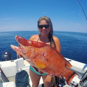 Meet your Posher, Carleigh