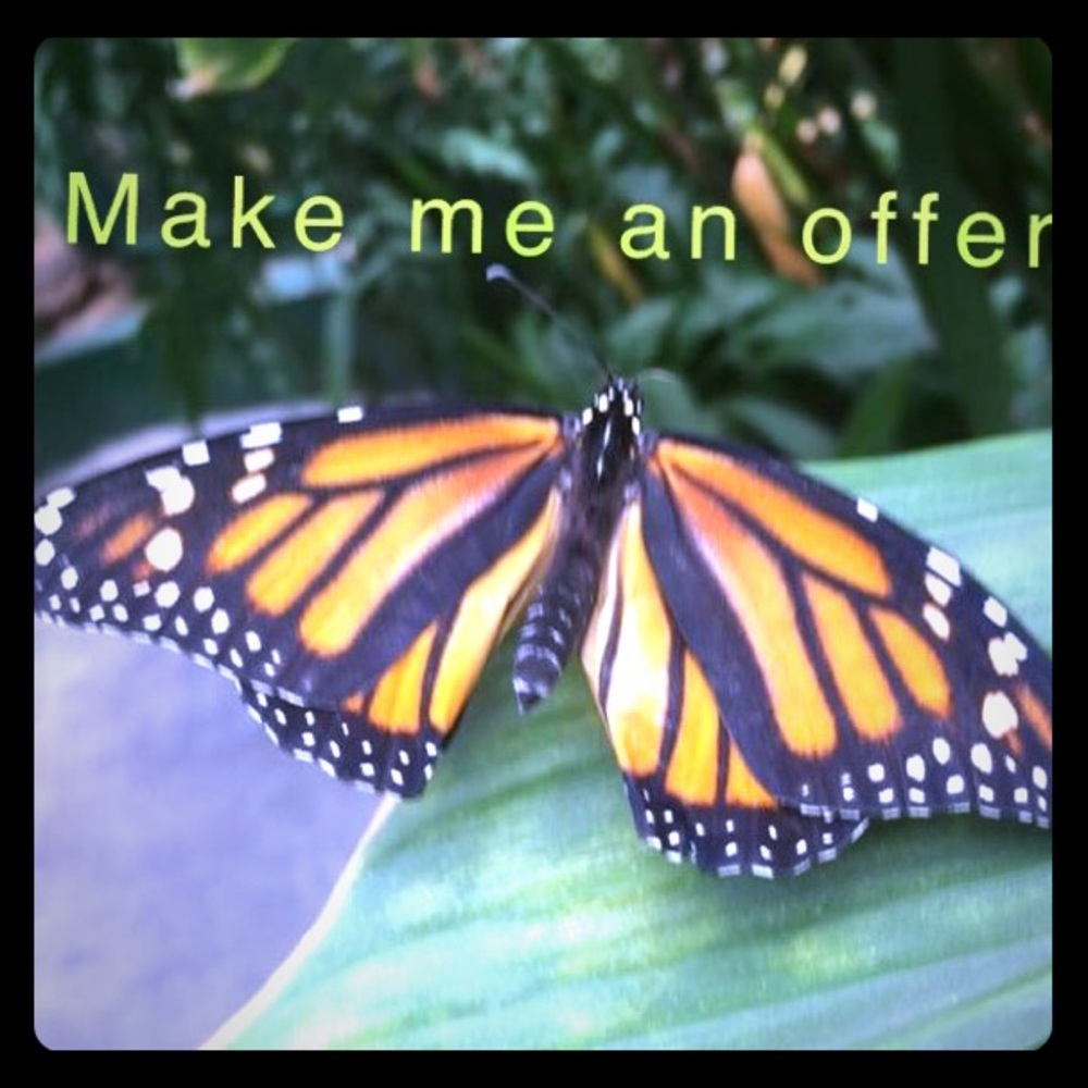 Make me an offer,