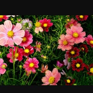 Meet your Posher, Katelyn