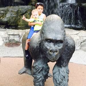 Meet your Posher, Melani