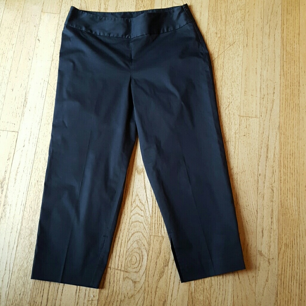 Banana Republic Crop Pants