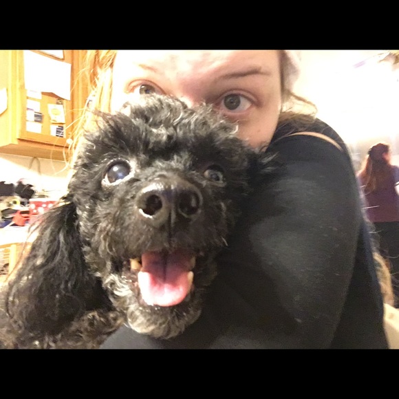 Meet your Posher, Jessica - Picture 2 of 4