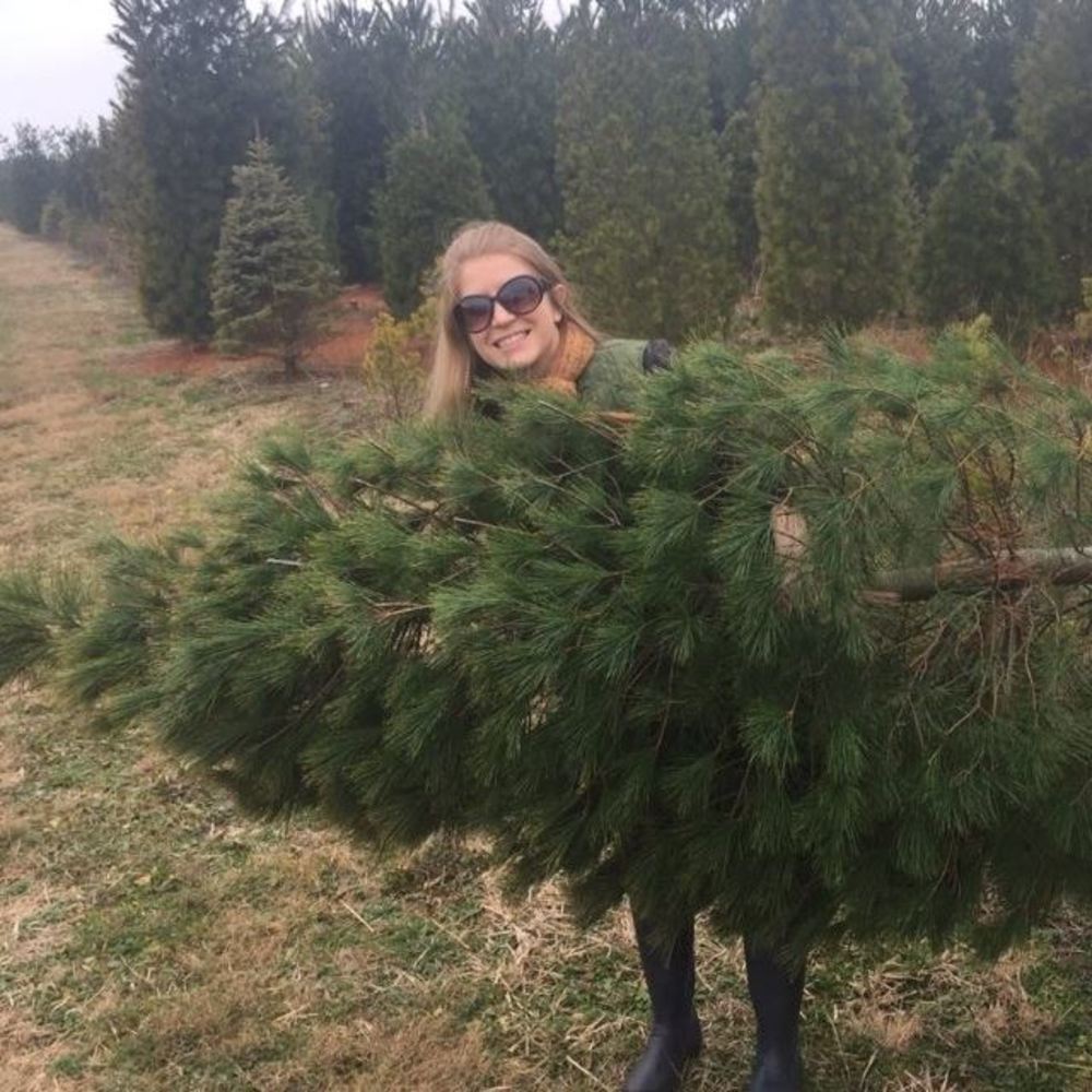 Meet your Posher, Abi