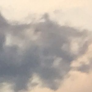 Meet your Posher, Adrian