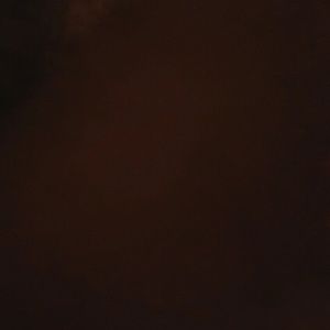 Meet your Posher, Natasha